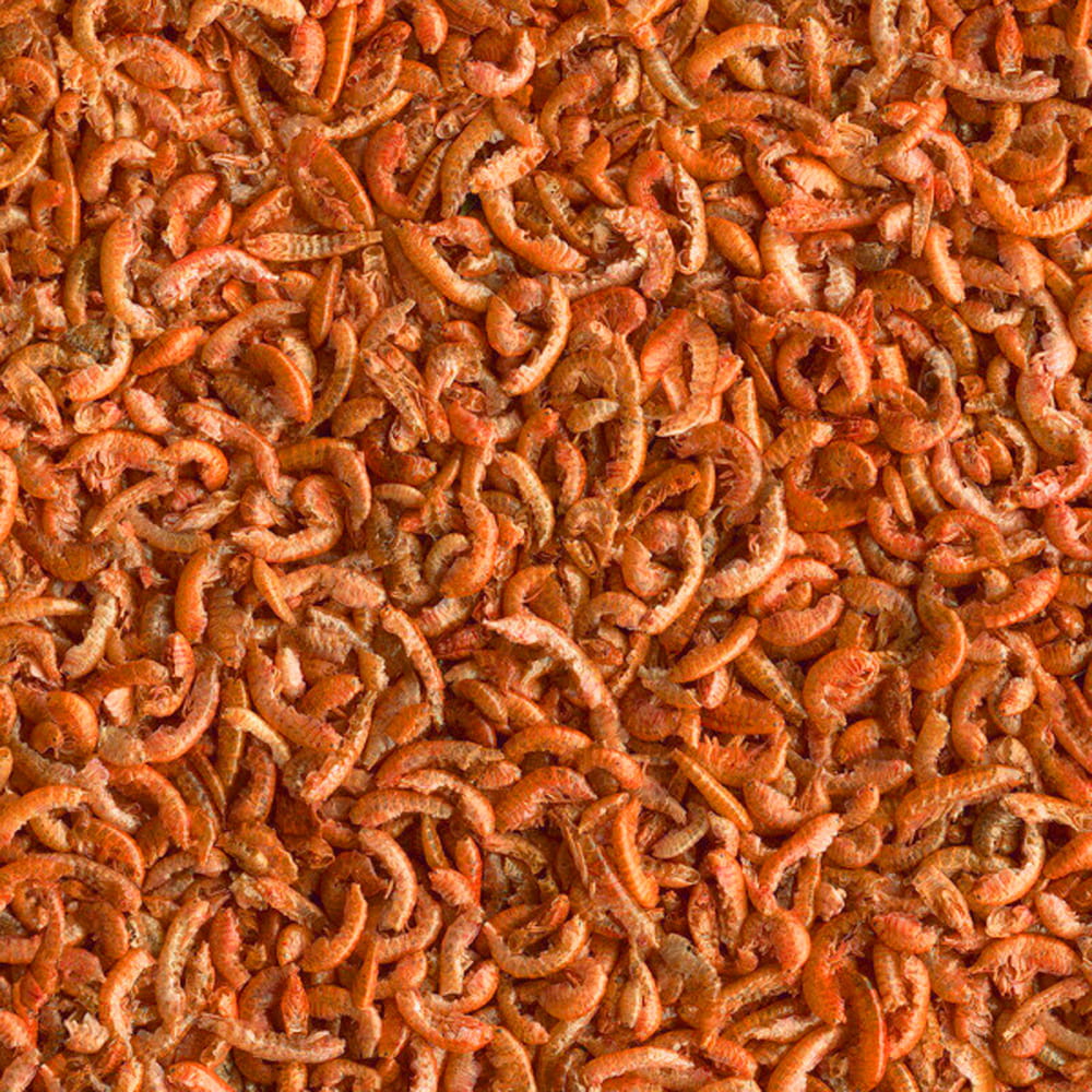 Tetra Fauna Gammarus 250ml pokarm dla żółwi wodnych uzupełnienie